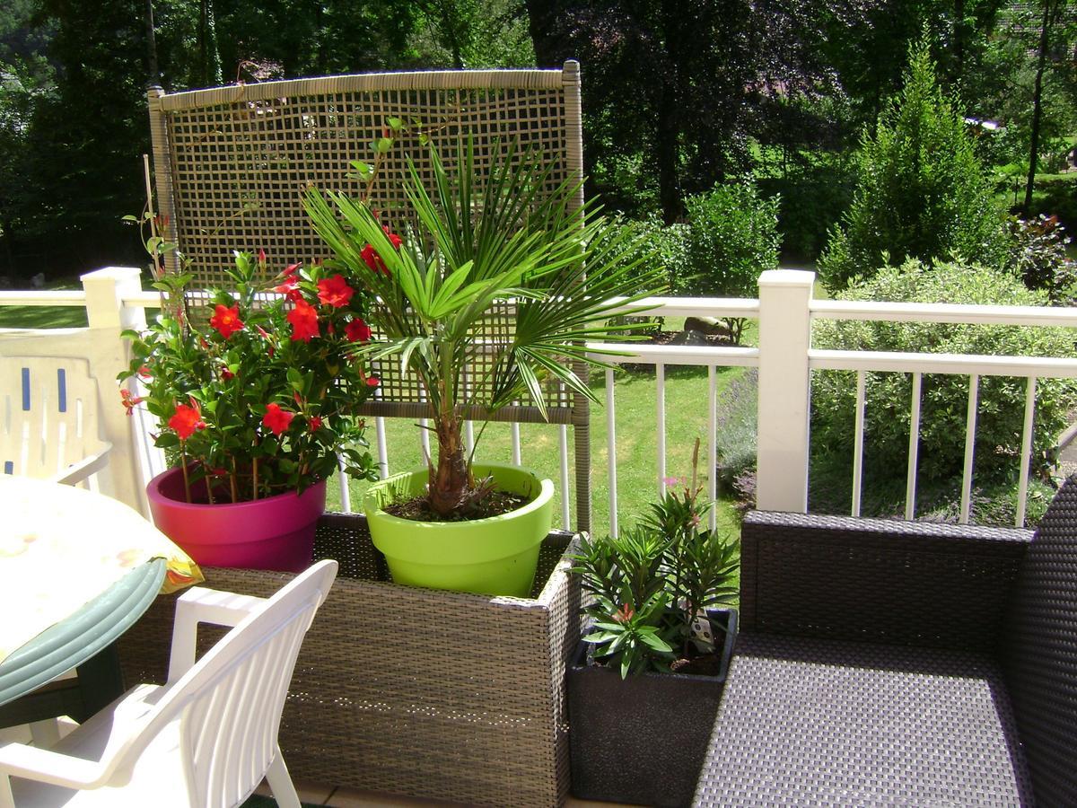 Les Volets Bleus Alsace Vosges Bed & Breakfast Urbes Exterior photo